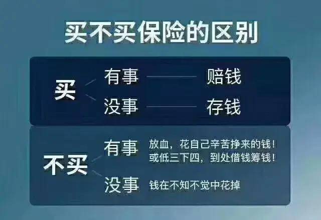 今期新澳门三肖三码100%精准|全面释义解释落实