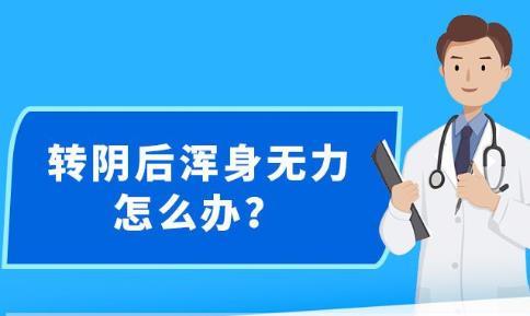 新澳精准资料期期精准|全面释义解释落实