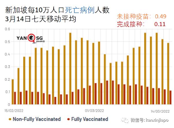 最新航班入境，全球旅行的新常态与变化