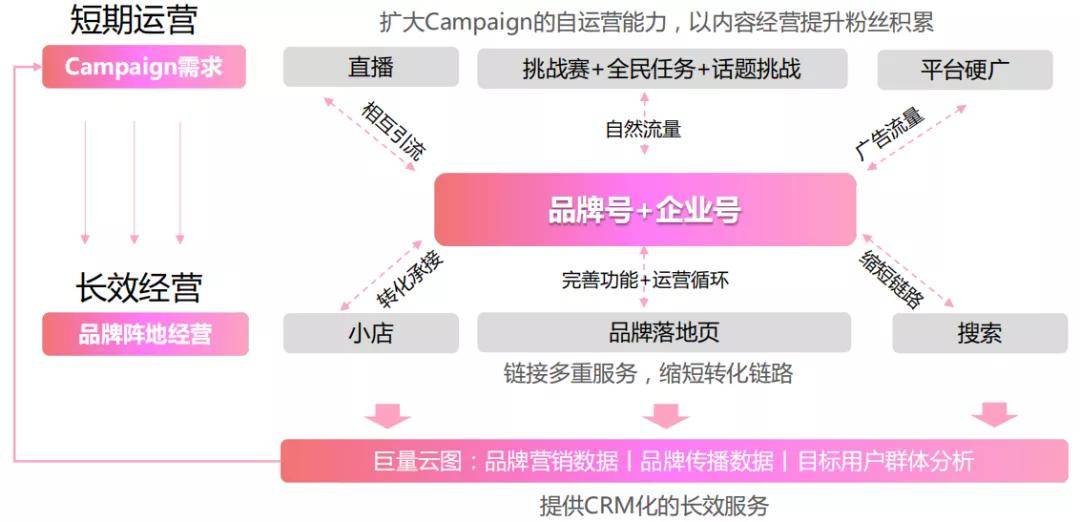 最新巴铁蝗灾，一场突如其来的生态挑战与应对策略