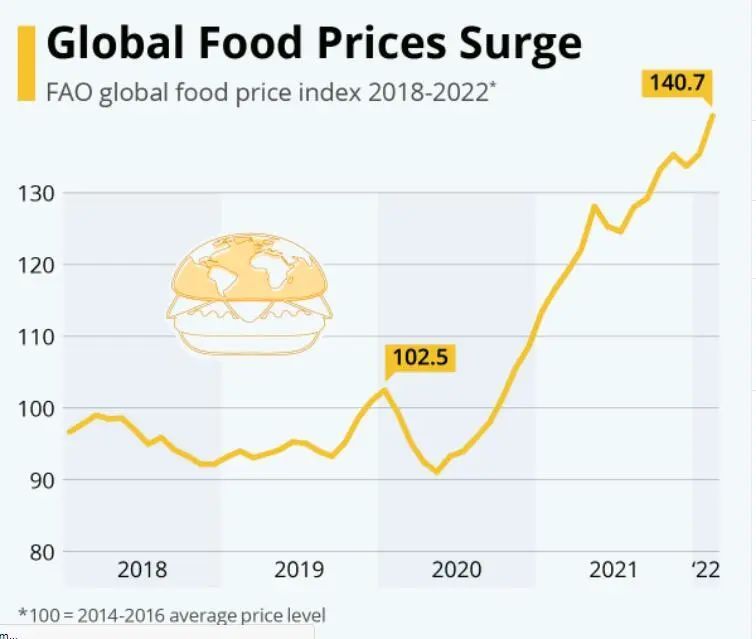 粮食价格最新，全球趋势、影响因素及未来展望