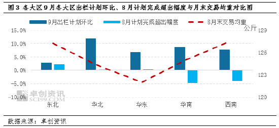 生姜最新价格分析，市场波动背后的原因与趋势