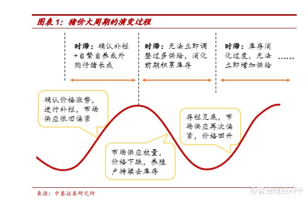 关注最新猪价，市场波动背后的原因与影响