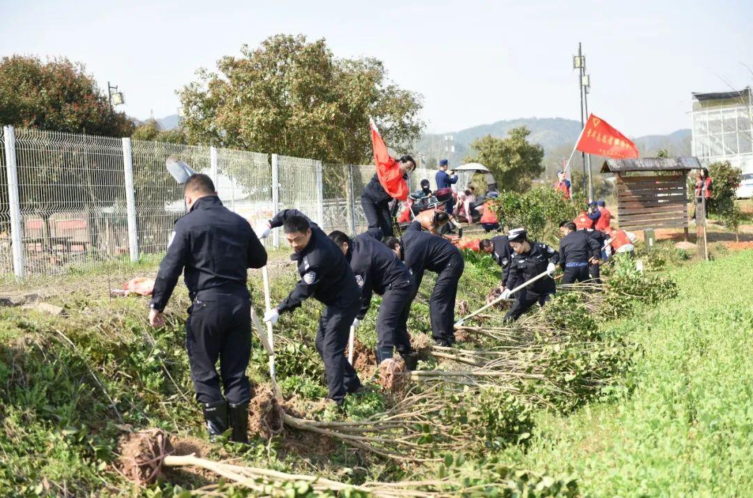 灵溪最新小区，现代生活与自然的和谐共生