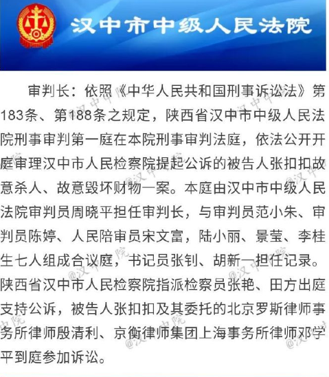 张扣扣最新报道，法律与人性的交织