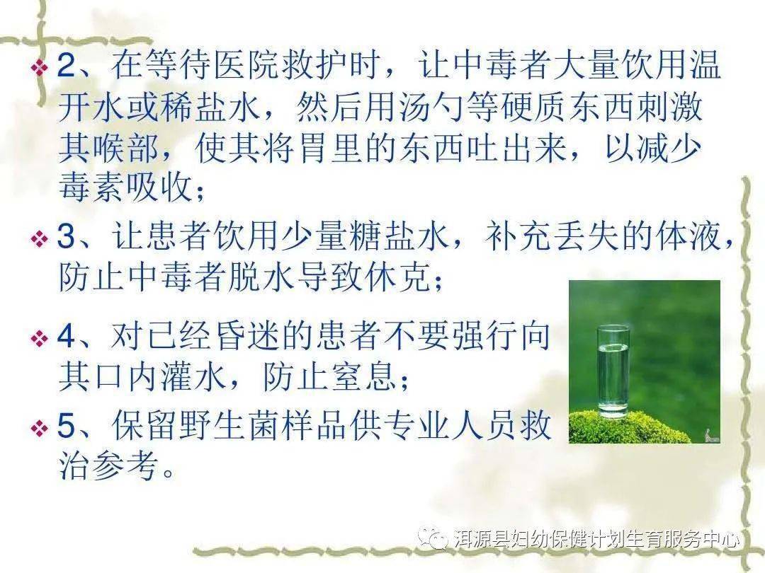 野生菌中毒最新研究综述，从预防到治疗的全面解析