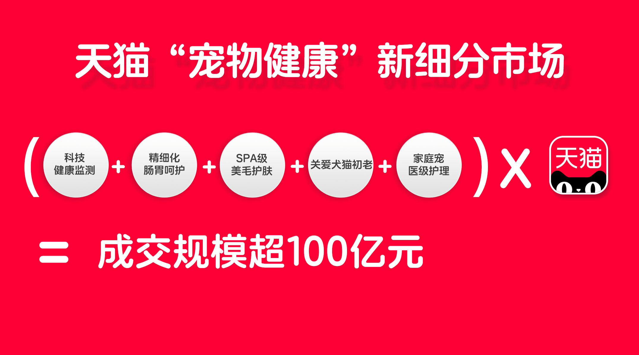 健康猫最新公告，重塑行业生态，引领宠物健康新风尚