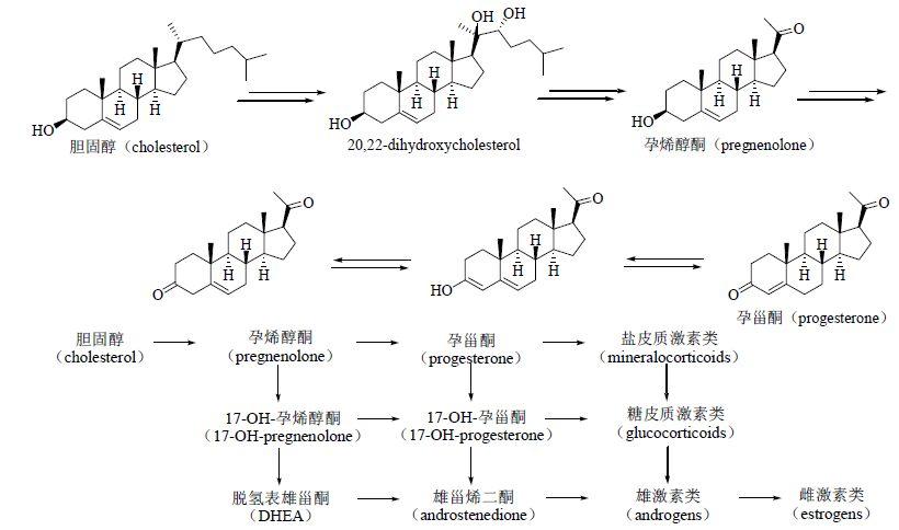 甾醇最新应用，探索健康与科技的交汇点