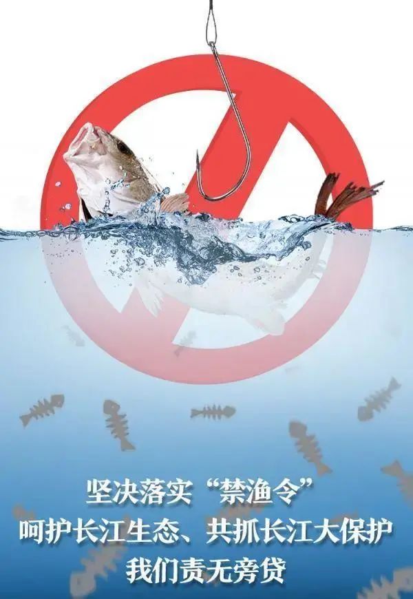 禁渔最新政策，生态保护与渔业可持续发展的新篇章