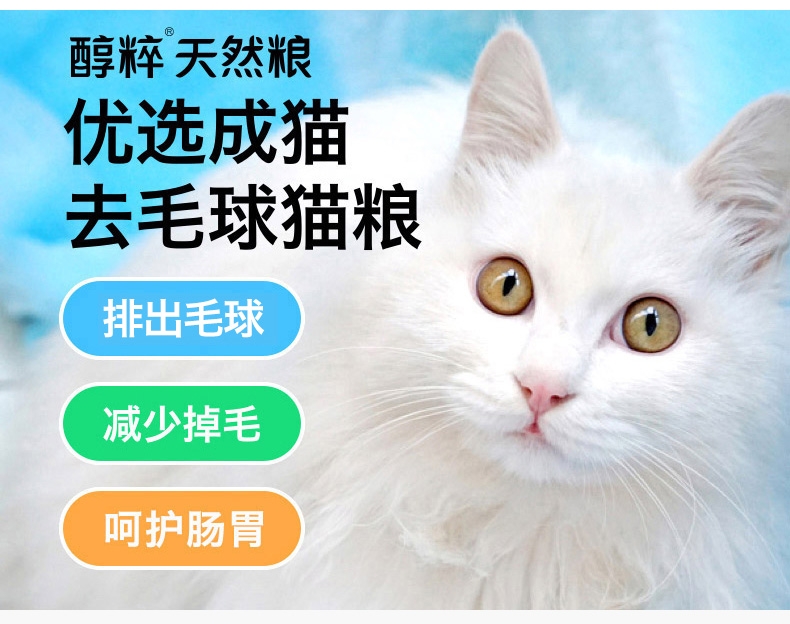 醇粹猫粮最新，为爱宠带来全面营养与健康保障