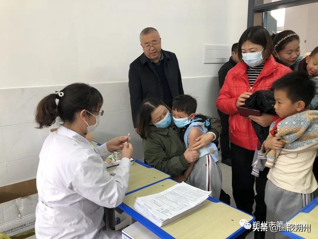发现的最新病毒，科学探索与全球应对的紧迫性