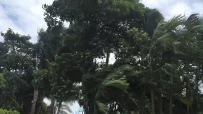 二十号台风最新动态，一场风暴的演变与影响